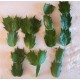 SCHLUMBERGERA WIELKANOCNY BIAŁY